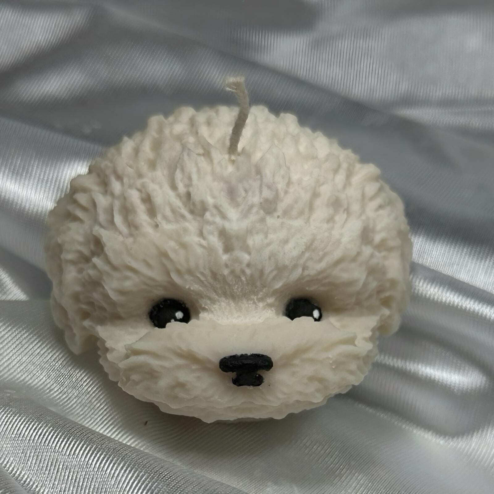 CARA RIZOS CANICHES