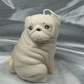FUEGO CARLINO