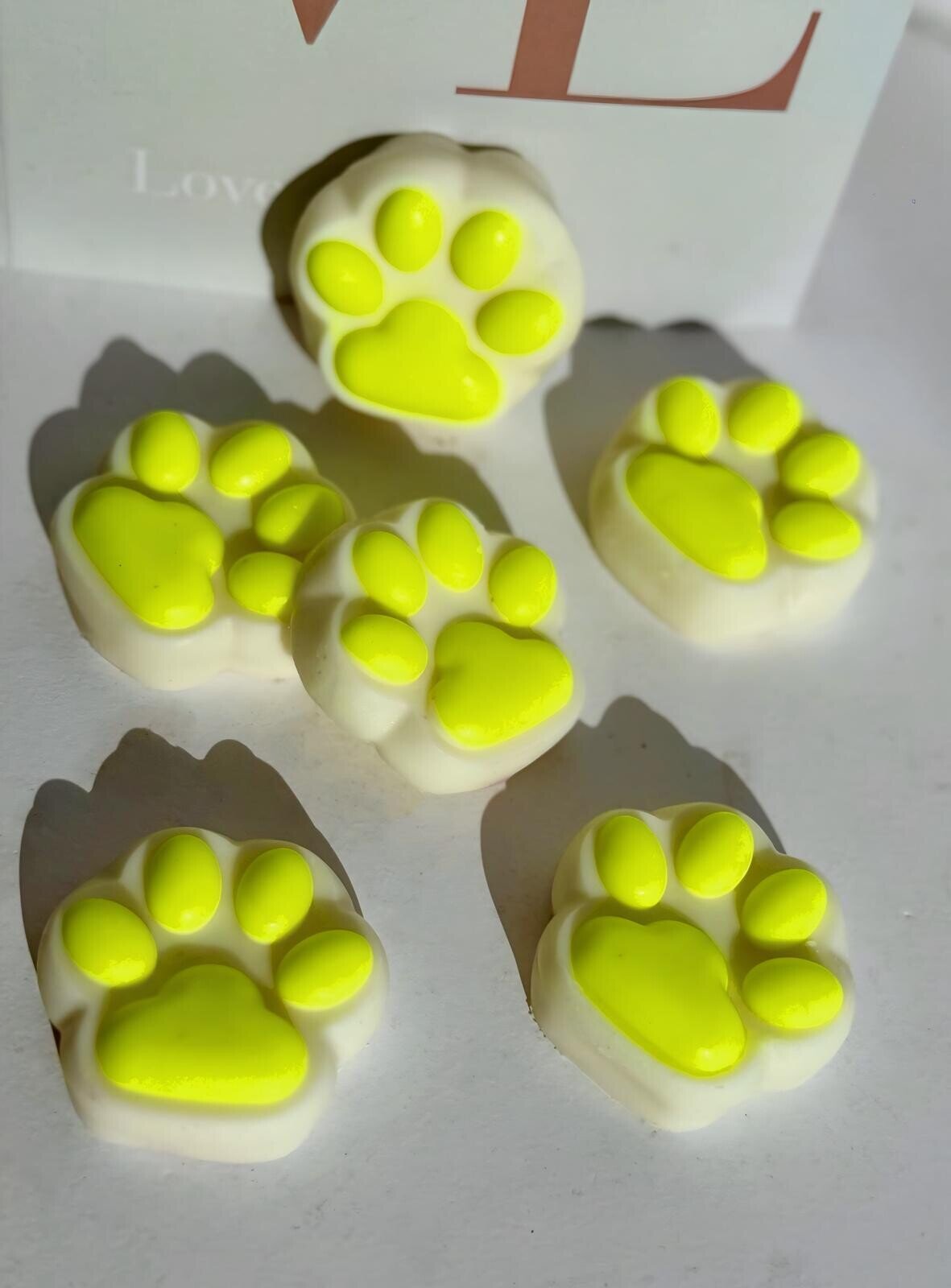 CASHEMERE PAWS