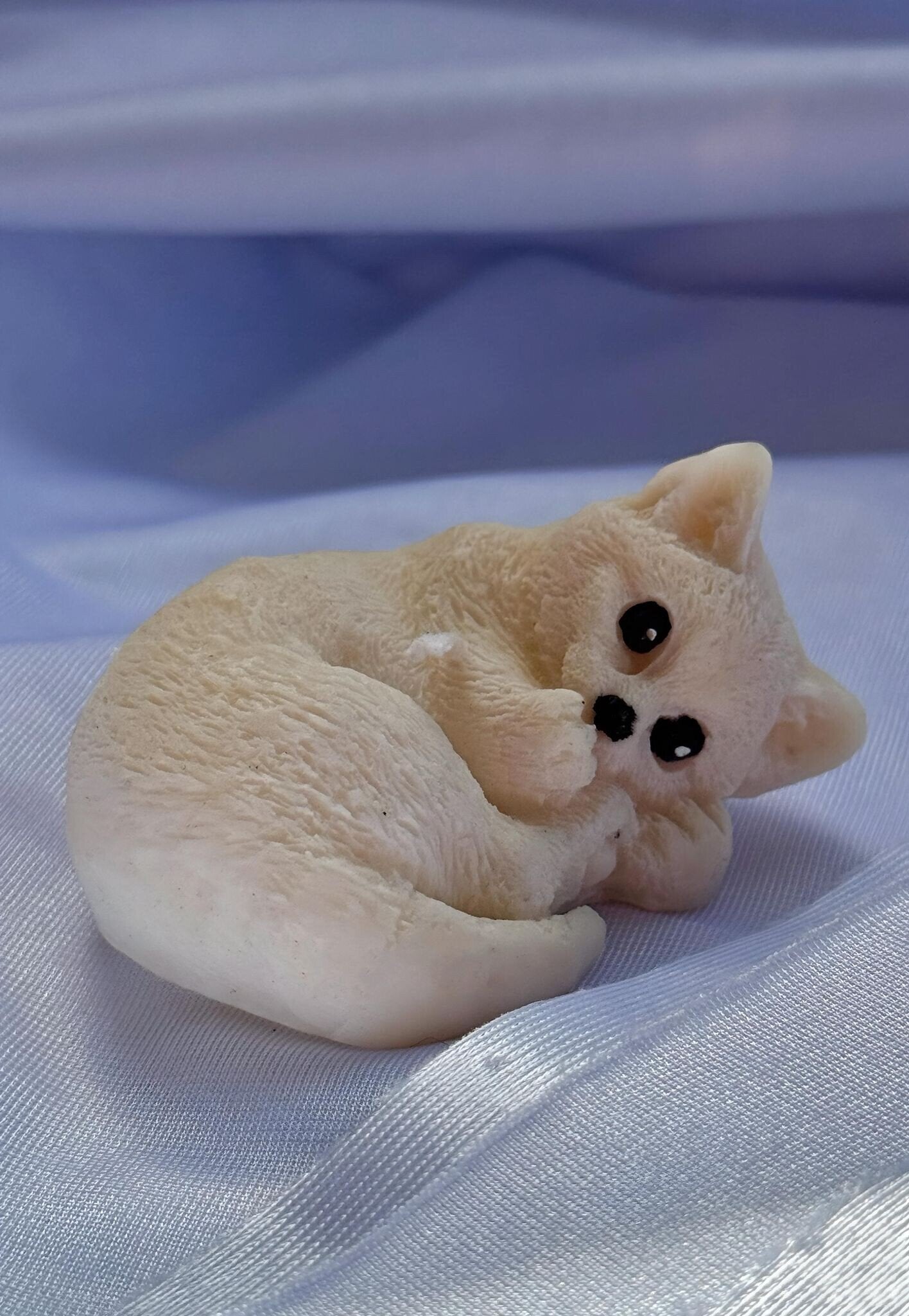 KEITY CAT
