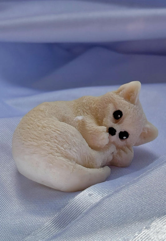 KEITY CAT