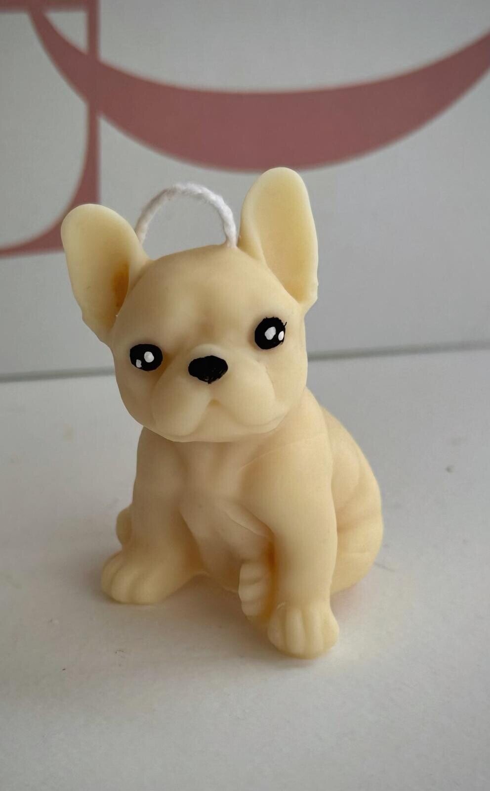 MINI MINI BULL DOG