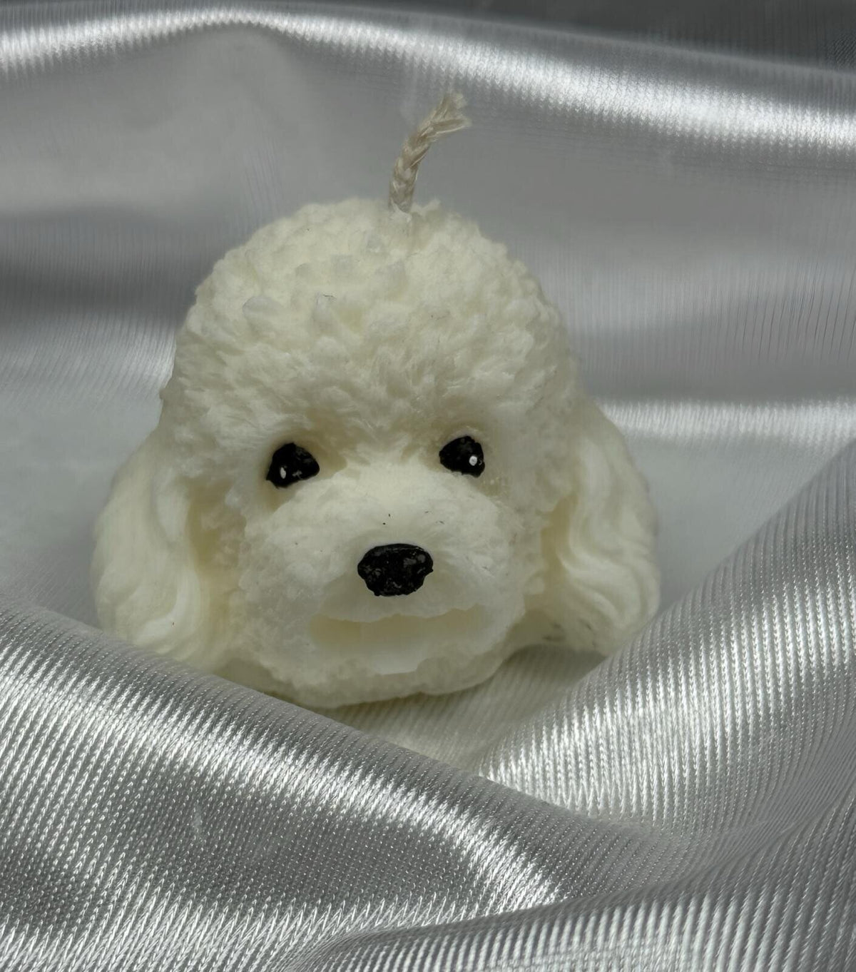 CARITA CANICHE