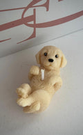 MINI LABRADOR SOÑADOR