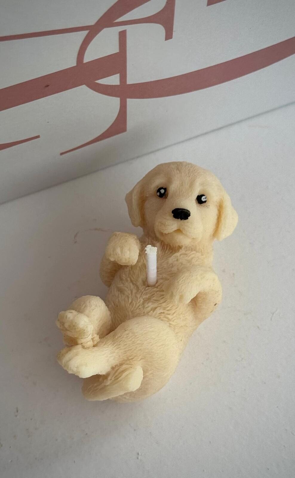 MINI LABRADOR SOÑADOR