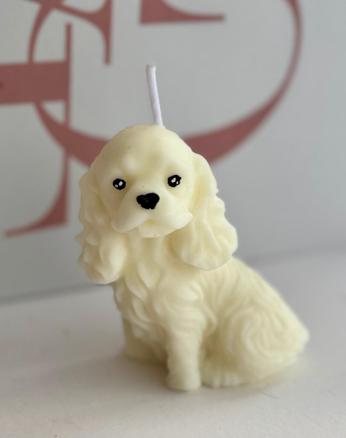 MINI COCKER